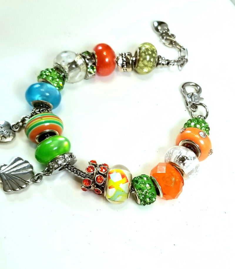 Multi Colored Bracelet with Charms